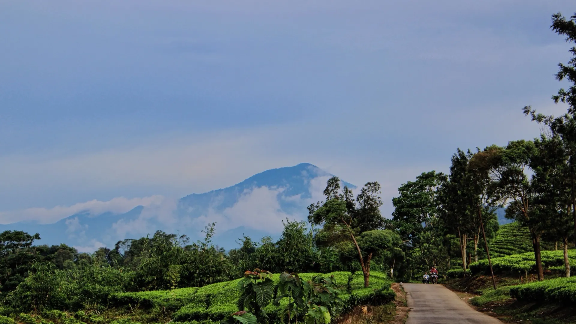 Photobooth di Kab. Subang